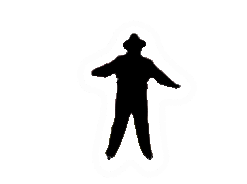 Longevity Stick moves